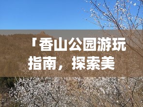 联系我们 第3页