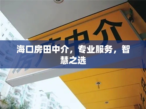 海口房田中介，专业服务，智慧之选