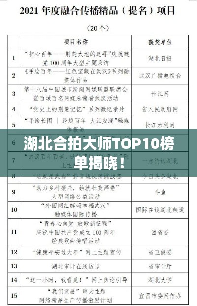 湖北合拍大师TOP10榜单揭晓！