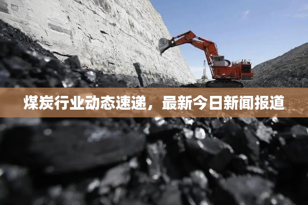 煤炭行业动态速递，最新今日新闻报道