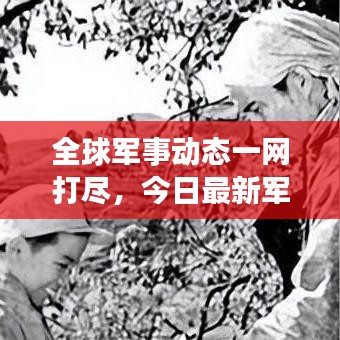 昙花一现
