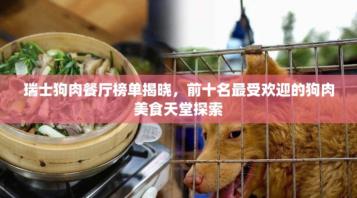 展翅欲飞