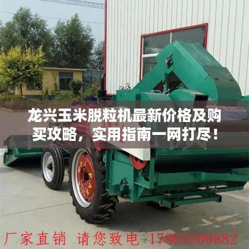 龙兴玉米脱粒机最新价格及购买攻略，实用指南一网打尽！