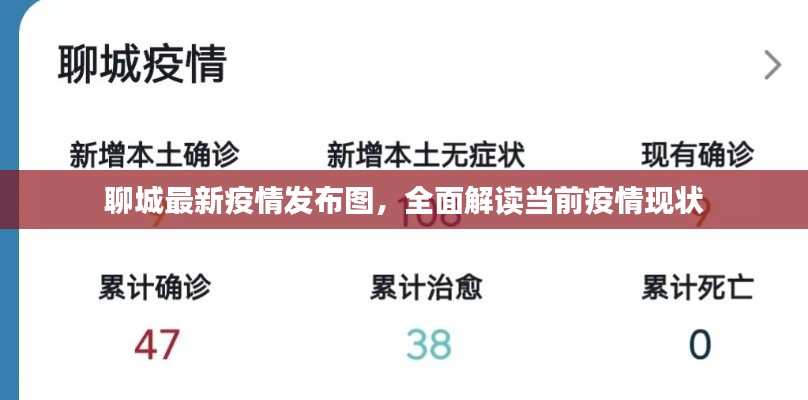 聊城最新疫情发布图，全面解读当前疫情现状