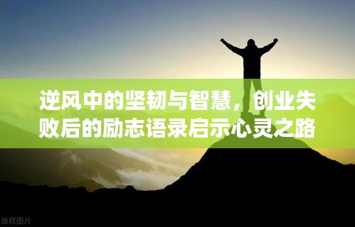 逆风中的坚韧与智慧，创业失败后的励志语录启示心灵之路