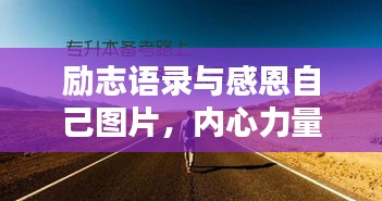仪表堂堂