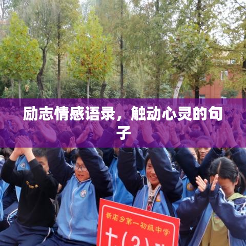 侃侃而谈