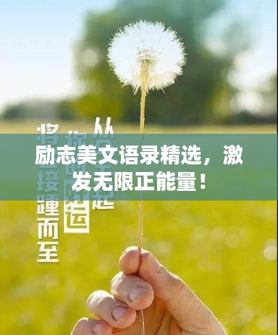 2025年6月5日 第5页