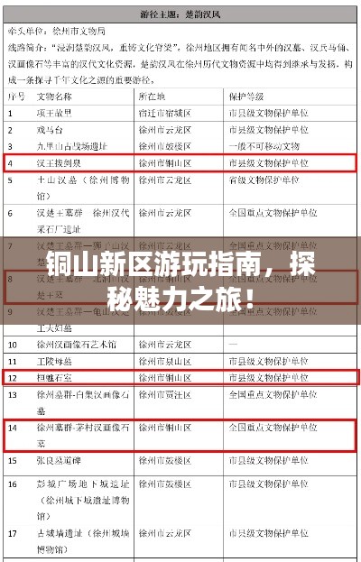 有张没智
