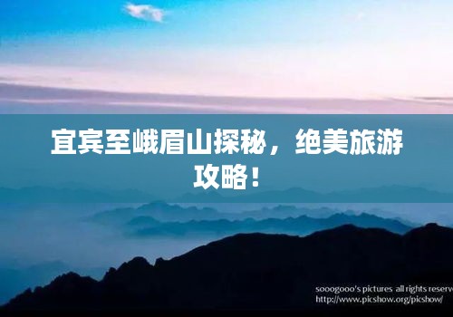 鸢飞鱼跃