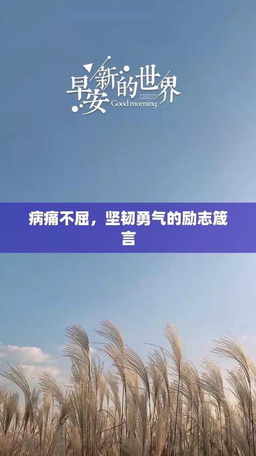 蹑蹻檐簦