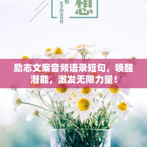 降尊纡贵