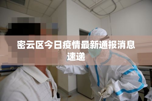 鸟啼花落
