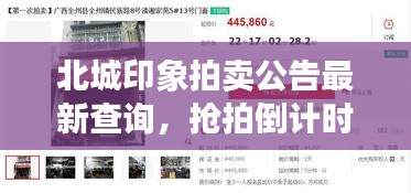 北城印象拍卖公告最新查询，抢拍倒计时启动！