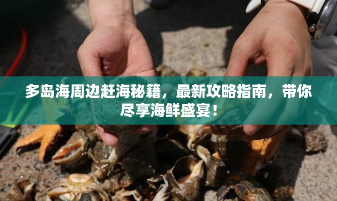 多岛海周边赶海秘籍，最新攻略指南，带你尽享海鲜盛宴！