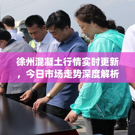 徐州混凝土行情实时更新，今日市场走势深度解析